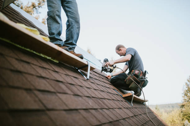 Quick and Trustworthy Emergency Roof Repair Services in Chaffee, MO